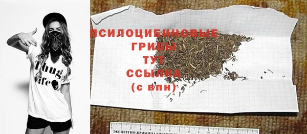 СК Богородск