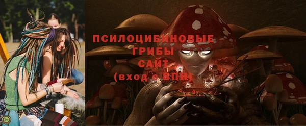 СК Богородск