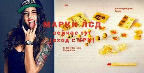 крисы Братск